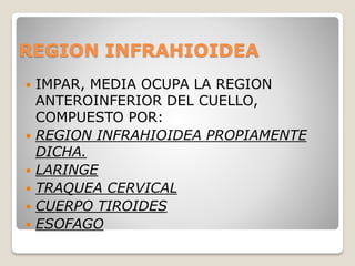 REGION INFRAHIOIDEA
 IMPAR, MEDIA OCUPA LA REGION
ANTEROINFERIOR DEL CUELLO,
COMPUESTO POR:
 REGION INFRAHIOIDEA PROPIAMENTE
DICHA.
 LARINGE
 TRAQUEA CERVICAL
 CUERPO TIROIDES
 ESOFAGO
 