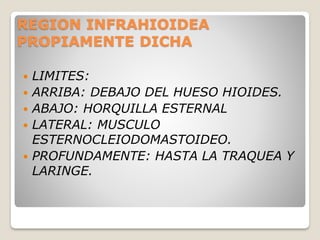 REGION INFRAHIOIDEA
PROPIAMENTE DICHA
 LIMITES:
 ARRIBA: DEBAJO DEL HUESO HIOIDES.
 ABAJO: HORQUILLA ESTERNAL
 LATERAL: MUSCULO
ESTERNOCLEIODOMASTOIDEO.
 PROFUNDAMENTE: HASTA LA TRAQUEA Y
LARINGE.
 