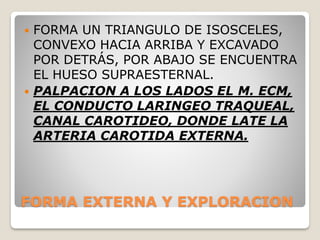 FORMA EXTERNA Y EXPLORACION
 FORMA UN TRIANGULO DE ISOSCELES,
CONVEXO HACIA ARRIBA Y EXCAVADO
POR DETRÁS, POR ABAJO SE ENCUENTRA
EL HUESO SUPRAESTERNAL.
 PALPACION A LOS LADOS EL M. ECM,
EL CONDUCTO LARINGEO TRAQUEAL,
CANAL CAROTIDEO, DONDE LATE LA
ARTERIA CAROTIDA EXTERNA.
 