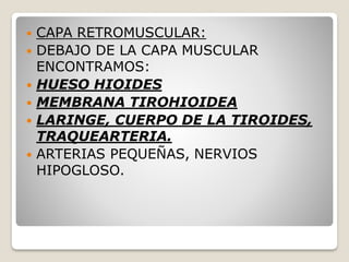  CAPA RETROMUSCULAR:
 DEBAJO DE LA CAPA MUSCULAR
ENCONTRAMOS:
 HUESO HIOIDES
 MEMBRANA TIROHIOIDEA
 LARINGE, CUERPO DE LA TIROIDES,
TRAQUEARTERIA.
 ARTERIAS PEQUEÑAS, NERVIOS
HIPOGLOSO.
 