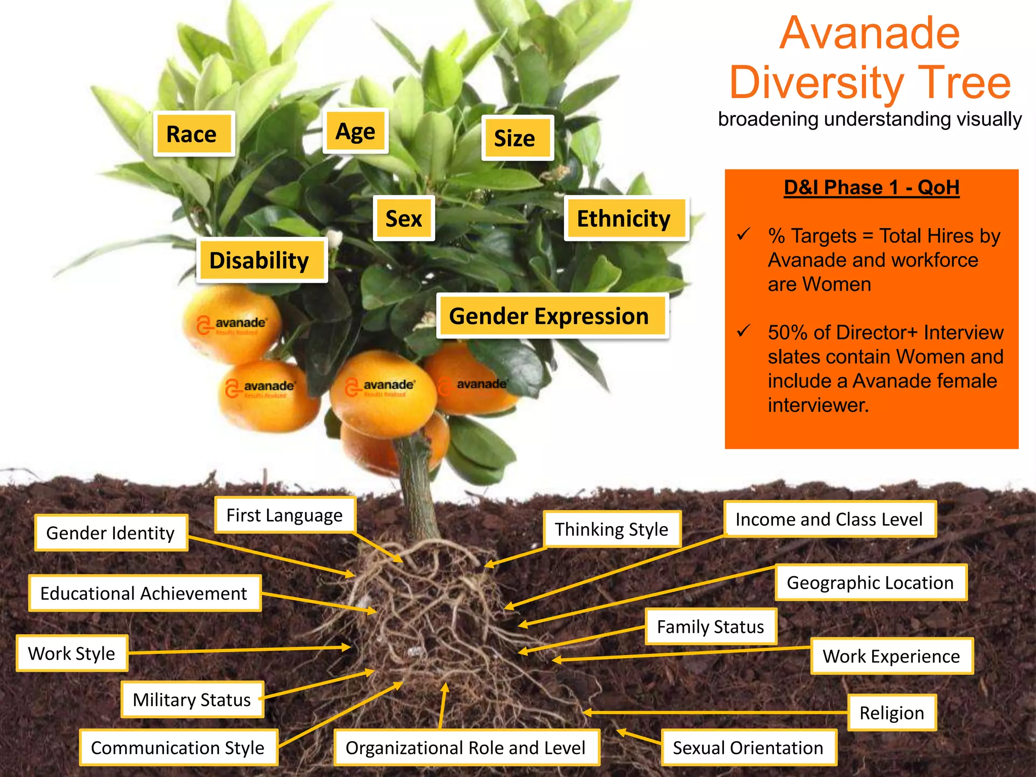 Avanade Confidential – Do Not Copy, Forward or Circulate
© Copyright 2011 Avanade Inc. All Rights Reserved.
Communication Style
Income and Class Level
Educational Achievement
Work Style
Religion
Thinking Style
First Language
Sexual Orientation
Gender Identity
Military Status
Organizational Role and Level
Work Experience
Geographic Location
Family Status
Age
Sex
Race
Disability
Size
Ethnicity
Gender Expression
Avanade
Diversity Tree
broadening understanding visually
D&I Phase 1 - QoH
 % Targets = Total Hires by
Avanade and workforce
are Women
 50% of Director+ Interview
slates contain Women and
include a Avanade female
interviewer.
 