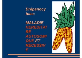 Drépanocy
tose:
MALADIE
HEREDITAI
RE
AUTOSOMI
QUE ET
RECESSIV
E
