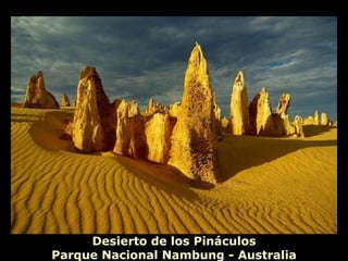Desierto de los Pináculos Parque Nacional Nambung - Australia 