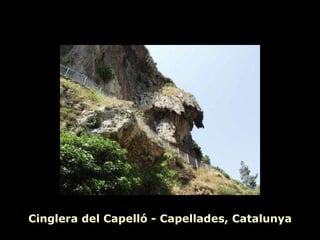 Cinglera del Capelló - Capellades, Catalunya 