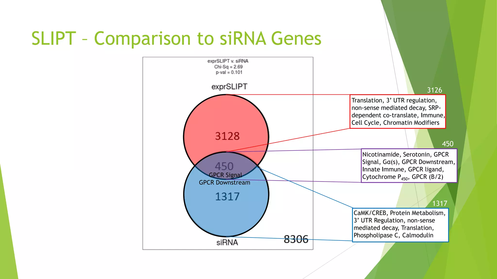 SLIPT – Comparison to siRNA Genes
3126
450
Nicotinamide, Serotonin, GPCR
Signal, Gα(s), GPCR Downstream,
Innate Immune, GPCR ligand,
Cytochrome P450, GPCR (B/2)
Translation, 3’ UTR regulation,
non-sense mediated decay, SRP-
dependent co-translate, Immune,
Cell Cycle, Chromatin Modifiers
GPCR Signal
GPCR Downstream
CaMK/CREB, Protein Metabolism,
3’ UTR Regulation, non-sense
mediated decay, Translation,
Phospholipase C, Calmodulin
1317
 