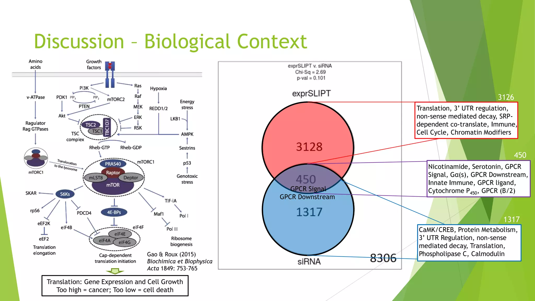 Discussion – Biological Context
3126
450
Nicotinamide, Serotonin, GPCR
Signal, Gα(s), GPCR Downstream,
Innate Immune, GPCR ligand,
Cytochrome P450, GPCR (B/2)
Translation, 3’ UTR regulation,
non-sense mediated decay, SRP-
dependent co-translate, Immune,
Cell Cycle, Chromatin Modifiers
GPCR Signal
GPCR Downstream
CaMK/CREB, Protein Metabolism,
3’ UTR Regulation, non-sense
mediated decay, Translation,
Phospholipase C, Calmodulin
1317
Gao & Roux (2015)
Biochimica et Biophysica
Acta 1849: 753–765
Translation: Gene Expression and Cell Growth
Too high = cancer; Too low = cell death
 