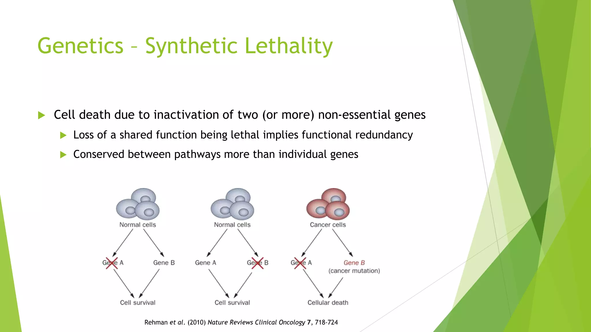 Genetics – Synthetic Lethality
 Cell death due to inactivation of two (or more) non-essential genes
 Loss of a shared function being lethal implies functional redundancy
 Conserved between pathways more than individual genes
Rehman et al. (2010) Nature Reviews Clinical Oncology 7, 718-724
 