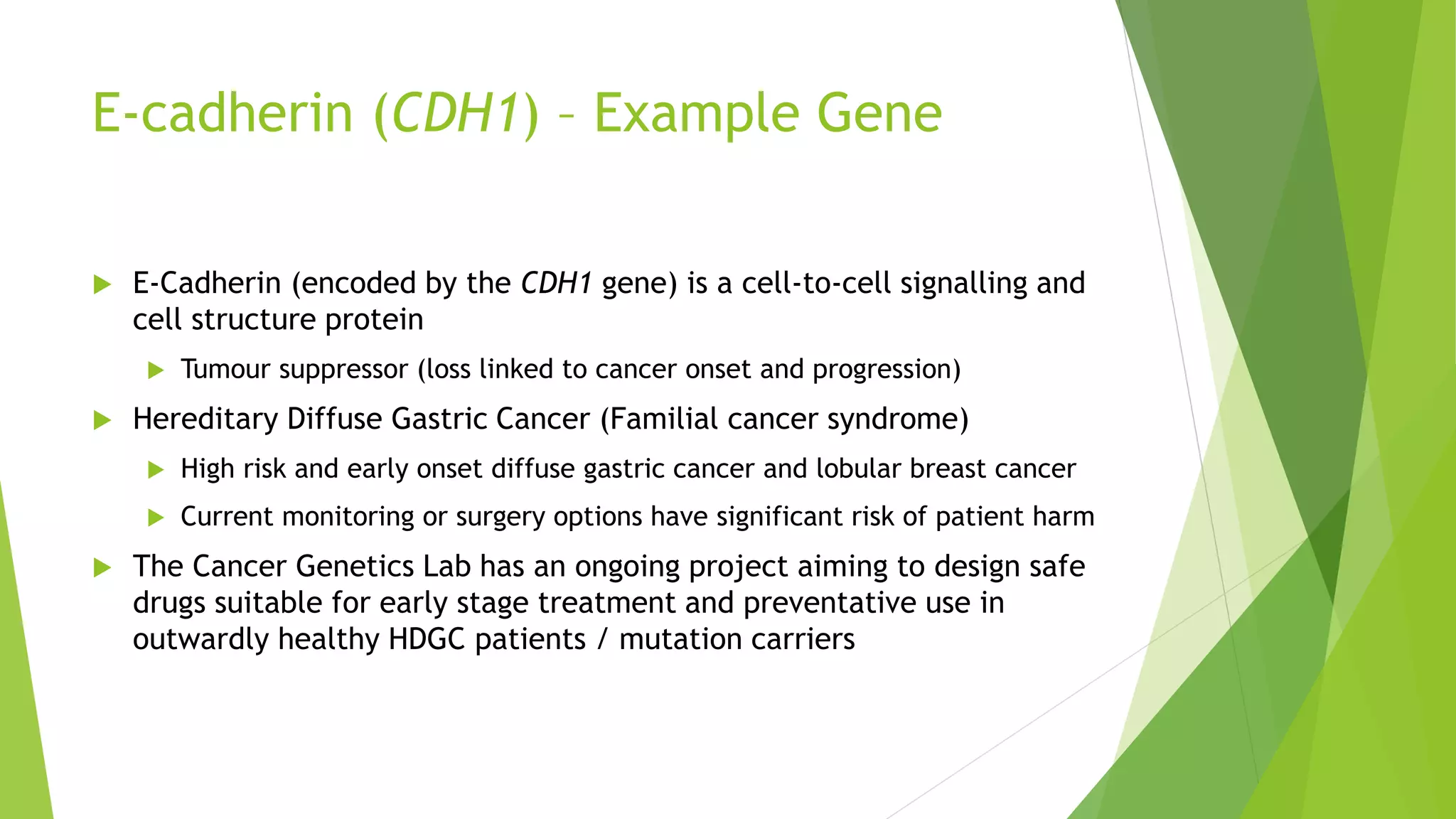 E-cadherin (CDH1) – Example Gene
 E-Cadherin (encoded by the CDH1 gene) is a cell-to-cell signalling and
cell structure protein
 Tumour suppressor (loss linked to cancer onset and progression)
 Hereditary Diffuse Gastric Cancer (Familial cancer syndrome)
 High risk and early onset diffuse gastric cancer and lobular breast cancer
 Current monitoring or surgery options have significant risk of patient harm
 The Cancer Genetics Lab has an ongoing project aiming to design safe
drugs suitable for early stage treatment and preventative use in
outwardly healthy HDGC patients / mutation carriers
 