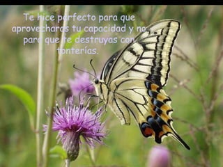 Te hice perfecto para que
aprovecharas tu capacidad y no
para que te destruyas con
tonterías.
 