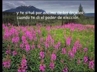 … y te situé por encima de los ángeles,
cuando te di el poder de elección.
 