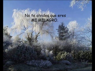 No te olvides que eres
MI MILAGRO.
 