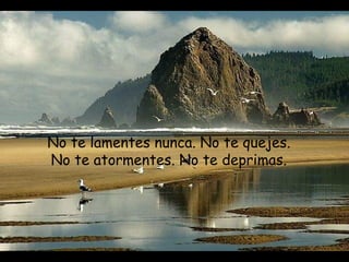 No te lamentes nunca. No te quejes.
No te atormentes. No te deprimas.
 