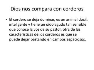 Dios nos compara con corderos 
• El cordero se deja dominar, es un animal dócil, 
inteligente y tiene un oído agudo tan sensible 
que conoce la voz de su pastor, otra de las 
características de los corderos es que se 
puede dejar pastando en campos espaciosos. 
 