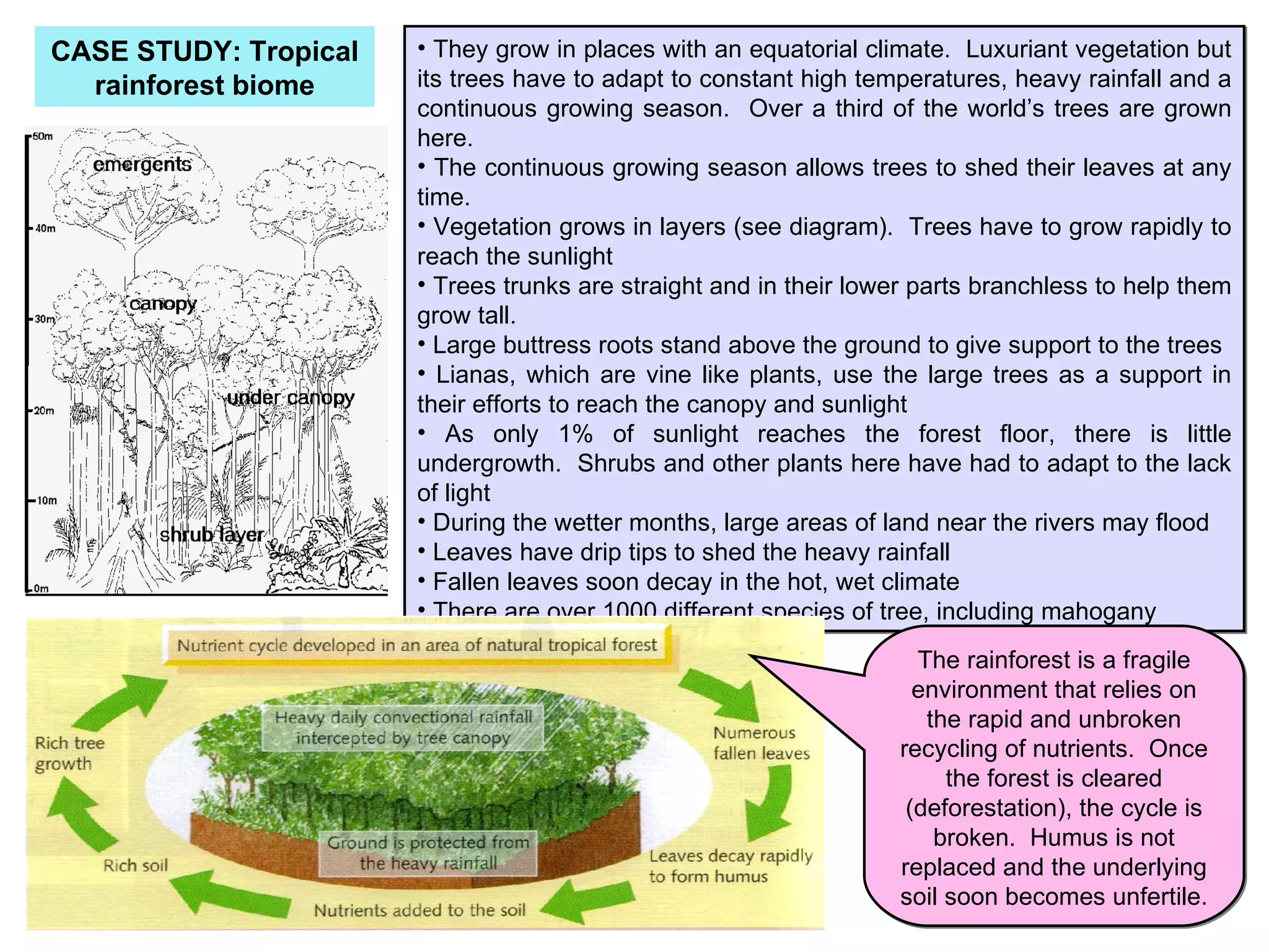 Revision Pack GCSE Geography