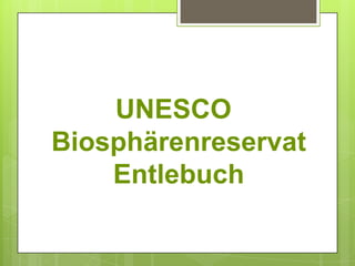 UNESCO Biosphärenreservat Entlebuch 