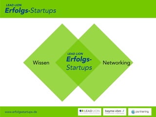 Lead Lion Erfolgs-Startups - Best Practice mit Dean & David