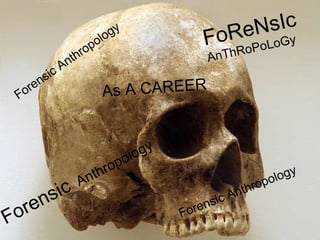 Forensic Anthropology  Forensic  Anthropology As A CAREER FoReNsIc   AnThRoPoLoGy Forensic Anthropology 