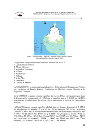 ESTUDIO REGIONAL FORESTAL DE LA UNIDAD DE MANEJO
FORESTAL 0901 (Cuajimalpa-Alvaro Obregon-Magdalena Contreras) D. F.
22
Figura 1. Suelo Urbano y Suelo de Conservación del Distrito Federal.
(Gaceta Oficial del Distrito Federal, 2000)
Delegaciones comprendidas en el Suelo de Conservación del D. F.
1. Cuajimalpa de Morelos.
2. Álvaro Obregón.
3. Magdalena Contreras.
4. Tlalpan.
5. Xochimilco.
6. Tlahuac.
7. Milpa Alta.
8. Iztapalapa
9. Gustavo A. Madero.
La UMAFOR 0901 se encuentra integrada por tres de las dieciséis Delegaciones Políticas
que conforman el Distrito Federal, Cuajimalpa de Morelos, Álvaro Obregón y La
Magdalena Contreras.
En la UMAFOR, se cuenta con una superficie de 13, 562.49 has correspondientes a Suelo
de Conservación, representando el 59.29% de la superficie total y 9, 313.62 has (40.71%)
perteneciente a Suelo Urbano, localizado casi en su totalidad al norte de las Delegaciones
Políticas.
La UMAFOR cuenta con una superficie arbolada total por bosques de oyamel de 5, 877.12
has (Cuajimalpa de Morelos, 2, 650.62 has, Álvaro Obregón 785.70 has, Magdalena
Contreras 2, 440.8 has, en lo subsecuente se mencionará en dicho orden), bosques de pino
3, 905.44 has (1, 110.80 has, 279.10 has y 2, 515.54 has), bosques de encino 340.02 has
(290.15 has, 20. 85 has y 29.02 has). Pastizal 596.07 has (150.25 has, 105.72 has y 340.10
has). Agricultura de temporal 2, 834.84 (1, 140.45 has, 798.46 has, 895.93 has). Zonas
urbanas 9, 313.62 has (2, 284.76 has, 5, 762.52 has, 1, 266.34 has).
 