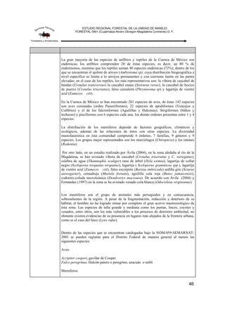 ESTUDIO REGIONAL FORESTAL DE LA UNIDAD DE MANEJO
FORESTAL 0901 (Cuajimalpa-Alvaro Obregon-Magdalena Contreras) D. F.
46
La gran mayoría de las especies de anfibios y reptiles de la Cuenca de México son
endémicas; los anfibios comprenden 20 de éstas especies, es decir, un 80 % de
endemismos, mientras que los reptiles suman 40 especies endémicas (72%); dentro de los
que se encuentran el ajolote de arroyo (Ambystoma sp), cuya distribución biogeográfica a
nivel específico se limita a lo arroyos permanentes y con corriente fuerte en las partes
elevadas; en el caso de los reptiles, los más representativos son: la víbora de cascabel de
bandas (Crotalus transversus) la cascabel enana (Sistrurus ravus), la cascabel de hocico
de puerco (Crotalus triseriatus), falso camaleón (Phrynosoma sp) y lagartija de vientre
azul (Eumeces ctit).
En la Cuenca de México se han encontrado 201 especies de aves, de éstas 142 especies
son aves coronadas (orden Passeriformes), 22 especies de apodiformes (Vencejos y
Colibríes) y el de los falconiformes (Aguilillas y Halcones), Strigiformes (búhos y
lechuzas) y pisciformes con 6 especies cada una, los demás ordenes presentan entre 1 y 4
especies.
La distribución de los mamíferos depende de factores geográficos, climáticos y
ecológicos, además de las relaciones de éstos con otras especies. La diversidad
mastofaunística en ésta comunidad comprende 6 órdenes, 7 familias, 9 géneros y 9
especies. Los grupos mejor representados son los murciélagos (Chiroptera) y los ratones
(Rodentia)
Por otro lado, en un estudio realizado por Ávila (2004), en la zona aledaña al río de la
Magdalena, se han avistado víbora de cascabel (Crotalus triseriatus y C. variegatus),
culebra de agua (Thamnophis scaliger) rana de árbol (Hyla eximia), lagartija de collar
negro (Sceloporus torquatus torquatus), lagartija ( Sceloporus grammicus spp.), lagartija
de vientre azul (Eumeces ctit), falso escorpión (Barisia imbricada) ardilla gris (Sciurus
aureogaster), comadreja (Mustela frenata), aguililla cola roja (Buteo jamaicensis),
codorniz-coluda neovolcánica (Dendrortyx macroura). De acuerdo con Ávila (2004) y
Fernández (1997) en la zona se ha avistado venado cola blanca (Odocoileus virginianus).
Los mamíferos son el grupo de animales más perseguidos y en consecuencia,
sobresalientes de la región. A pesar de la fragmentación, reducción y deterioro de su
hábitat, el hombre no ha logrado minar por completo el gran acervo mastozoológico de
ésta zona. Las especies de talla grande y mediana como los pumas, linces, coyotes y
venados, entre otros, son los más vulnerables a los procesos de deterioro ambiental, no
obstante existen evidencias de su presencia en lugares más alejados de la frontera urbana,
como es el caso del lince (Lynx rufus).
Dentro de las especies que se encuentran catalogadas bajo la NOM-059-SEMARNAT-
2001 se pueden registrar para el Distrito Federal de manera general al menos las
siguientes especies:
Aves:
Accipiter cooperi, gavilán de Cooper
Falco peregrinus, Halcón patero o peregrino, azacuán o neblí
Mamíferos:
 