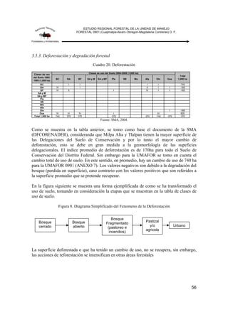 ESTUDIO REGIONAL FORESTAL DE LA UNIDAD DE MANEJO
FORESTAL 0901 (Cuajimalpa-Alvaro Obregon-Magdalena Contreras) D. F.
56
3.5.3. Deforestación y degradación forestal
Cuadro 20. Deforestación
BC BA BF SA y M SA y MF Pls SB Ma Afa Otv Ous
BC I I I I -740
BA IV I II I I -185
BF IV II I IV I I -185
SA y M
SA y MF
Pls
SB
MA
Afa
Otv I -185
Ous IV IV IV I IV 925
Total 1,000 ha 740 370 370 -370 -370 -740 -370 -370
Clases de uso
del Suelo 1992-
1993 (1,000 ha)
Clases se uso del Suelo 2004-2005 (1,000 ha)
Total
1,000 ha
Fuente: SMA, 2004.
Como se muestra en la tabla anterior, se tomo como base el documento de la SMA
(DFCORENADER), considerando que Milpa Alta y Tlalpan tienen la mayor superficie de
las Delegaciones del Suelo de Conservación y por lo tanto el mayor cambio de
deforestación, esto se debe en gran medida a la geomorfología de las supeficies
delegacionales. El indice promedio de deforestación es de 170ha para todo el Suelo de
Conservación del Distrito Federal. Sin embargo para la UMAFOR se tomo en cuenta el
cambio total de uso de suelo. En este sentido, en promedio, hay un cambio de uso de 740 ha
para la UMAFOR 0901 (ANEXO 7). Los valores negativos son debido a la degradación del
bosque (perdida en superficie), caso contrario con los valores positivos que son referidos a
la superficie promedio que se pretende recuperar.
En la figura siguiente se muestra una forma ejemplificada de como se ha transformado el
uso de suelo, tomando en consideración la etapas que se muestran en la tabla de clases de
uso de suelo.
Figura 8. Diagrama Simplificado del Fenomeno de la Deforestación
La superficie deforestada o que ha tenido un cambio de uso, no se recupera, sin embargo,
las acciones de reforestación se intensifican en otras áreas forestales
Bosque
cerrado
Bosque
abierto
Bosque
Fragmentado
(pastoreo e
incendios)
Pastizal
y/o
agricola
Urbano
 