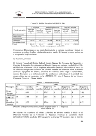 ESTUDIO REGIONAL FORESTAL DE LA UNIDAD DE MANEJO
FORESTAL 0901 (Cuajimalpa-Alvaro Obregon-Magdalena Contreras) D. F.
59
Cuadro 21. Sanidad forestal de la UMAFOR 0901
Tipo de afectación
Cuajimalpa Magdalena Contreras Total para la región
Superficie
afectada
ha.
Superficie
tratada ha
Superficie
afectada
ha.
Superficie
tratada ha
Superficie
afectada
ha.
Superficie
tratada ha
Descortezadores
Defoliadores
Barrenadores
Muérdago 209.35 209.35 462.64 462.64 671.99 671.99
Otros(especificar)
Total 209.35 209.35 462.64 462.64 671.99 671.99
Fuente: Datos obtenidos en campo para este estudio, 2007.
Comentarios: El muérdago es una planta hemiparásita, la cantidad encontrada y tratada no
representa un peligro de plaga e infestación a otros rodales del bosque, presenta tendencias
a la expansión muy lentamente.
b). Incendios forestales
El Consejo Forestal del Distrito Federal, Comité Técnico del Programa de Prevención y
Combate de incendios Forestales para el Distrito Federal, en conjunto con la CONAFOR,
establecieron ocho zonas críticas propensas a incendios forestales, distribuidas en nueve de
las dieciséis Delegaciones Políticas, los criterios tomados en cuenta se basan en valores
escénicos, topografía del terreno, afluencia de visitantes, altas cargas e combustibles,
numero de eventos y su influencia sobre las condiciones ambientales de la entidad. Las
zonas críticas que se encuentran en la UMAFOR 0901 son el Desierto de los Leones,
Cañada de Contreras y Ajusco Medio.
Cuadro 22. Incendios forestales
Municipio
2004 2005 2006 2007 (*)
N°
Incendios
Superficie
afectada ha
N°
Incendios
Superficie
afectada ha
N°
Incendios
Superficie
afectada ha
N°
Incendios
Superficie
afectada ha
Álvaro
Obregón
1 0.11 12 12.07 3 0.87 4 3.40
Cuajimalpa
de Morelos
16 3.65 25 21.64 26 25.75 3 7.80
La
Magdalena
Contreras
11 5.53 35 17.04 33 34.18 13 6.72
(*) Datos correspondientes a una primera etapa (1° enero al 15 de junio).
Fuente: SMA DF 2007.
De acuerdo con Secretaría del Medio Ambiente del Distrito Federal, a través de la
Dirección General de la Comisión de Recursos Naturales y Desarrollo Rural
(DGCORENADER), en el año 2004 se reporto un total de 929 incendios para el Distrito
 