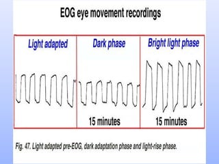 Electrophysiology (ERG and EOG) Simplified........ | PPTX