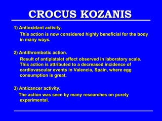 CROCUS KOZANIS
1) Antioxidant activity.
   This action is now considered highly beneficial for the body
   in many ways.

2) Antithrombotic action.
   Result of antiplatelet effect observed in laboratory scale.
   This action is attributed to a decreased incidence of
   cardiovascular events in Valencia, Spain, where egg
   consumption is great.

3) Anticancer activity.
   The action was seen by many researches on purely
   experimental.
 