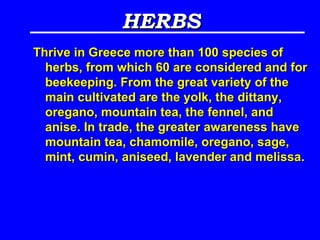 HERBS
                     
Thrive in Greece more than 100 species of
 herbs, from which 60 are considered and for
 beekeeping. From the great variety of the
 main cultivated are the yolk, the dittany,
 oregano, mountain tea, the fennel, and
 anise. In trade, the greater awareness have
 mountain tea, chamomile, oregano, sage,
 mint, cumin, aniseed, lavender and melissa.
 