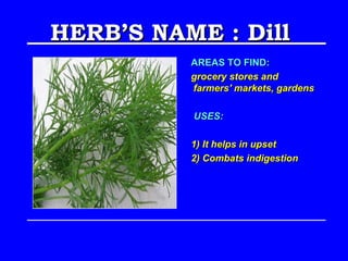 HERB’S NAME : Dill
          AREAS TO FIND:
          grocery stores and
          farmers' markets, gardens

          USES:

          1) It helps in upset
          2) Combats indigestion
 