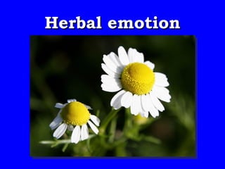 Herbal emotion
 