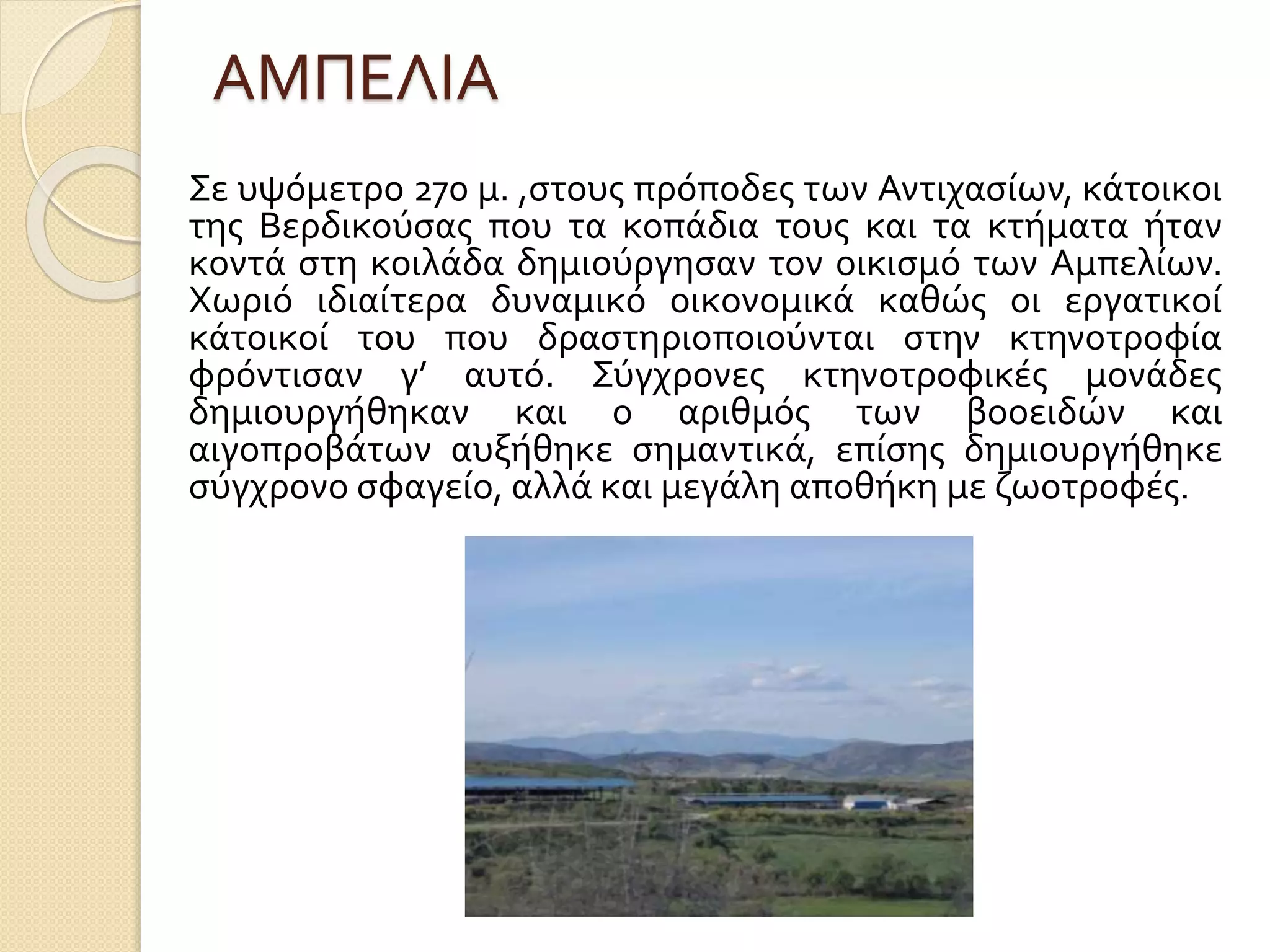 ΑΜΠΕΛΙΑ
Σε υψόμετρο 270 μ. ,στους πρόποδες των Αντιχασίων, κάτοικοι
της Βερδικούσας που τα κοπάδια τους και τα κτήματα ήταν
κοντά στη κοιλάδα δημιούργησαν τον οικισμό των Αμπελίων.
Χωριό ιδιαίτερα δυναμικό οικονομικά καθώς οι εργατικοί
κάτοικοί του που δραστηριοποιούνται στην κτηνοτροφία
φρόντισαν γ’ αυτό. Σύγχρονες κτηνοτροφικές μονάδες
δημιουργήθηκαν και ο αριθμός των βοοειδών και
αιγοπροβάτων αυξήθηκε σημαντικά, επίσης δημιουργήθηκε
σύγχρονο σφαγείο, αλλά και μεγάλη αποθήκη με ζωοτροφές.
 