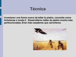 Técnica Inventaron una forma nueva de tallar la piedra, conocida como Achelense o modo 2.  Desarrollaron tallas de piedra mucho más perfeccionadas. Eran más cazadores que carroñeros. 