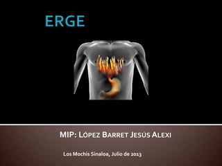 MIP: LÓPEZ BARRET JESÚS ALEXI
Los Mochis Sinaloa, Julio de 2013

 