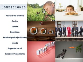 Potencia del estímulo
Cambio
Tamaño
Repetición
Estado orgánico (Pulsiones)
Interés
Sugestión social
Curso del Pensamiento
 