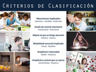Mecanismos implicados
Selectiva – Dividida - Sostenida
Grado de control voluntario
Involuntaria - Voluntaria
Objeto al que se dirige atención
Externa - Interna
Modalidad sensorial implicada
Visual - Auditiva
Amplitud e intensidad
Global - Selectiva
Amplitud y control que se ejerce
Concentrada - Dispersa
 