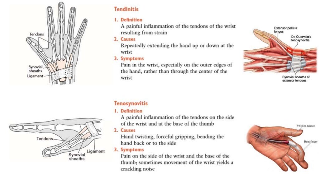 Ergonomics in Dentistry