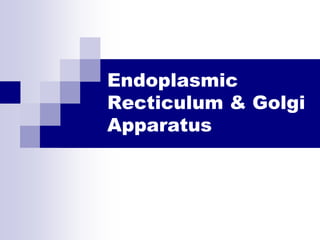 Endoplasmic
Recticulum & Golgi
Apparatus
 