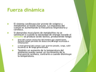 Fuerza dinámica
 El sistema cardiovascular provee de oxígeno y
metabolitos al tejido muscular. La respuesta del
cuerpo es aumentando la frecuencia respiratoria y
cardiaca.
 Si demandas musculares de metabolitos no se
satisfacen o cuando la necesidad de energía excede al
consumo se produce ácido láctico, produciendo fatiga:
 área del cuerpo (músculos del hombro por repeticiones
durante largos periodos de abducción)➔fatiga localizada e
inflamación.
 a nivel general del cuerpo ( por acarreo pesado, carga, subir
escaleras se ➔ fatiga generalizada
 También un aumento de la temperatura del
ambiente puede causar un incremento de la
frecuencia cardiaca, contrario a cuando disminuye
la temperatura.
 