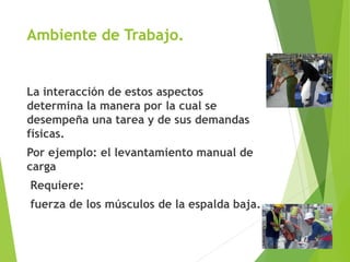 Ambiente de Trabajo.
La interacción de estos aspectos
determina la manera por la cual se
desempeña una tarea y de sus demandas
físicas.
Por ejemplo: el levantamiento manual de
carga
Requiere:
fuerza de los músculos de la espalda baja.
 