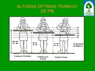 ALTURAS OPTIMAS TRABAJO  DE PIE 