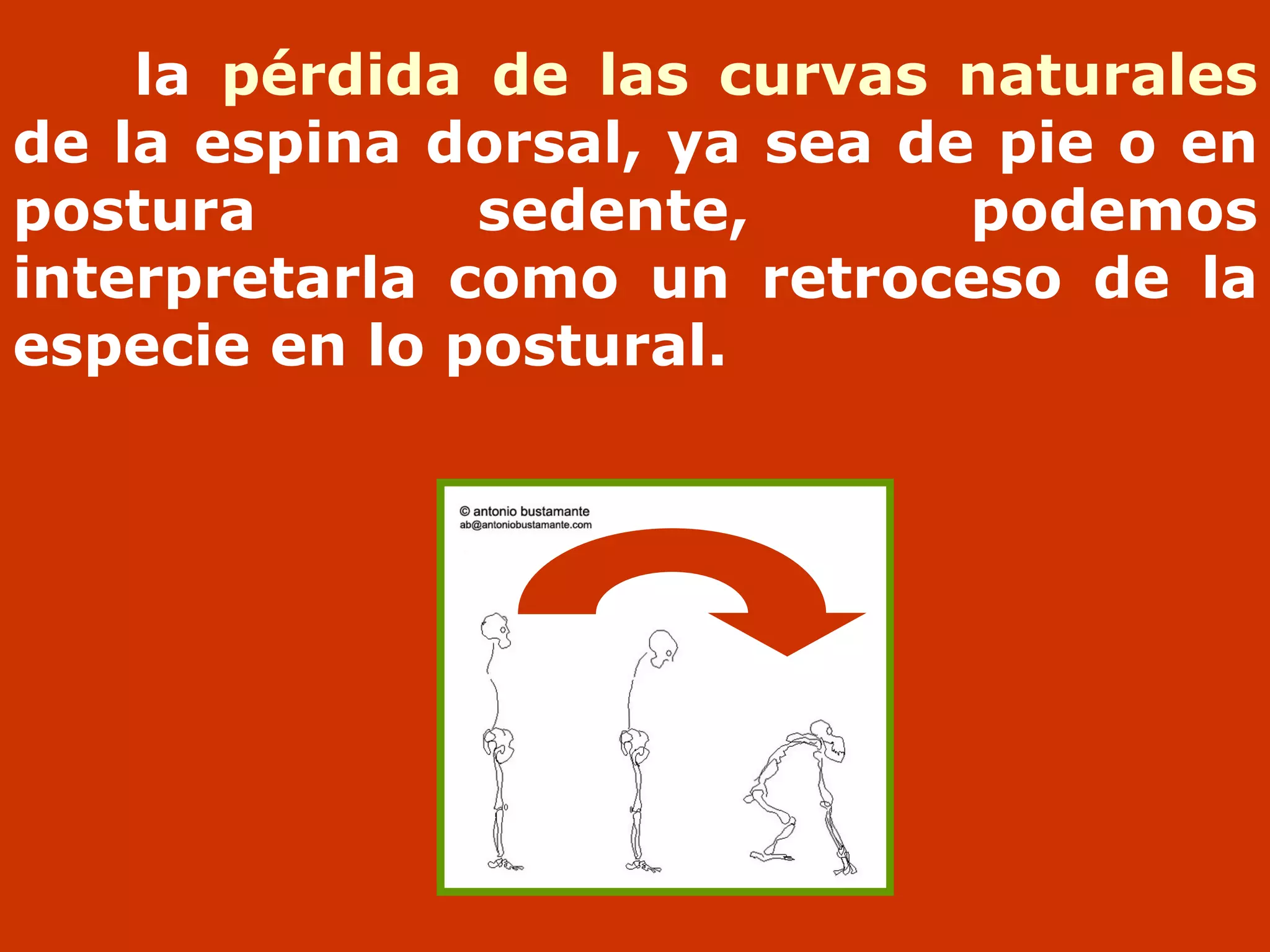 Ergonomía beatriz ibáñez