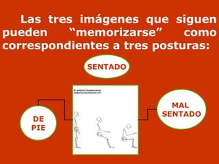 Ergonomía beatriz ibáñez