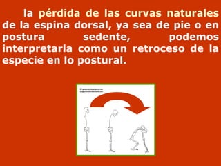 Ergonomía beatriz ibáñez