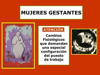 Ergonomía beatriz ibáñez