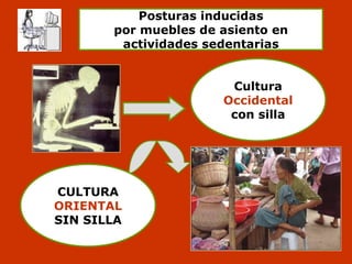 Ergonomía beatriz ibáñez