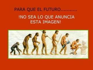 Ergonomía beatriz ibáñez