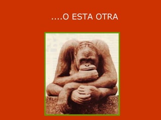 Ergonomía beatriz ibáñez