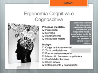 Ergonomía Cognitiva o
Cognoscitiva
RAMAS
Procesos mentales:
 Percepción
 Memoria
 Razonamiento
 Respuesta motora
Incluye:
 Carga de trabajo mental
 Toma de decisiones
 Funcionamiento experto
 Interacción humano-computadora
 Confiabilidad humana
 Stress laboral
 Entrenamiento y capacitación
El usuario controla
las acciones del
sistema enviándole
información, y la
máquina le indica al
usuario, por medio de
señales, el estado de
los procesos o
condiciones del
sistema.
 