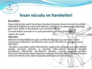 İnsan vücudu ve hareketleri
Kemikler
İnsan iskeletinde çeşitli kısımların hareket etmesine olanak verecek bir şekilde,

eklemlerle bağlanmış 206 kemik bulunur. İnsanların iş yapmasında doğrudan
görev alan kollar ve bacaklarda uzun kemikler yer alır.
Uzun kemikler arasında el ve ayak parmakları gibi kısa görüntülü
olanlar da vardır.
Eklemler
Eklemler hareketliliklerine göre sınıflandırıldığında üçe ayrılırlar; Fibröz
(oynamayan eklemler), kartilajinöz (yarı oynar eklemler) ve sinoviyal (oynar
eklemler).
Kemikler arasındaki çeşitli eklemlerden ergonomik yaklaşım açısından önemli
olanlar sinoviyal eklemler ve kıkırdak ( fibro-elastik kıkırdak) destekli
kartilajinöz eklemlerdir. Kartilajinöz eklemler omurlar arasında görülür.
Sinoviyal eklemlerde eklem başlarını kaplayan kıkırdak doku ve bunun üzerini
örten sert eklem yüzü, eklem kapsülü tarafından yerinde tutulur.

 