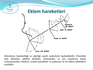 Eklem hareketleri

Eklemlerin hareketliliği ve işlekliği çeşitli nedenlerle kaybedilebilir. Öncelikle
tüm eklemler; şiddetli darbeler, zorlanmalar ve son sınırlarına kadar
zorlanmalardan etkilenir. Çeşitli hastalıklar ve yaşlanma ile de eklem işleklikleri
azalabilir.

 